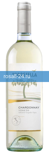 Вино Chardonnay Torresella